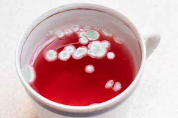 Mold in a mug with compote