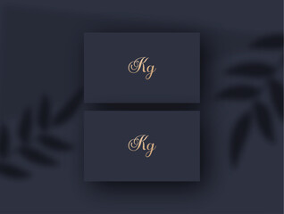 Kg logo design vector image