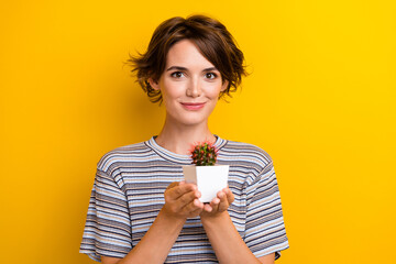 Photo of good mood positive woman with bob hairdo dressed t-shirt holding cute little cactus plant...