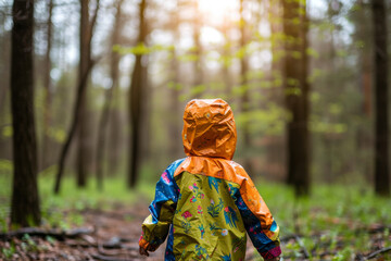 A child in a colorful raincoat exploring a springtime forest.