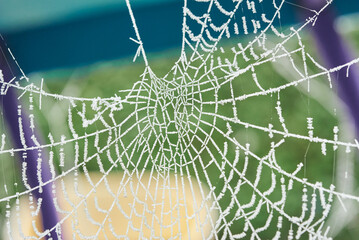 A frozen spider web hanging from a garden slide.