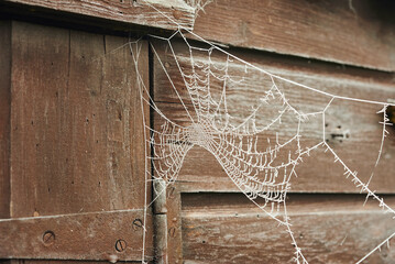 A frozen spider web hanging from an old wooden shed.
