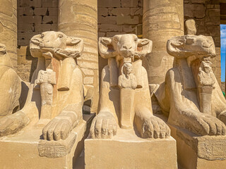 Karnak Temple is dedicated to the temple complex of Ancient Egypt. Thebes, Karnak, Luxor, Egypt