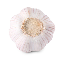 Head of fresh garlic isolated on white