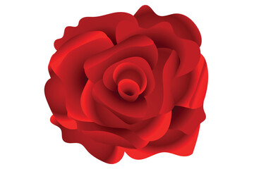 Red Rose. Design element isolated on white.