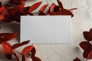 Empty business card and red eucalyptus branches on light textured background. Mockup for design