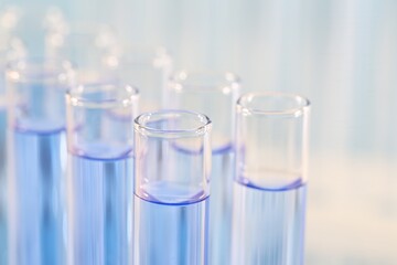 Laboratory analysis. Many glass test tubes with light blue liquid on blurred background, closeup