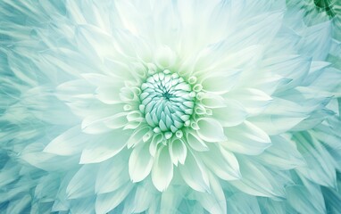 Obraz premium blue flower background