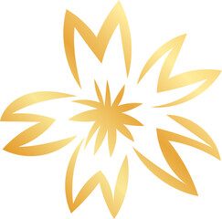 hand-drawn Chinese dragon and flower illustrations in luxurious golden hues