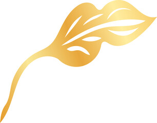 hand-drawn Chinese dragon and flower illustrations in luxurious golden hues