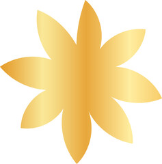 hand-drawn Chinese dragon and flower illustrations in luxurious golden hues