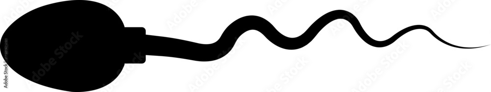 Poster abstract spermatozoon icon vector that runs towards the egg isolated on a transparent background, co