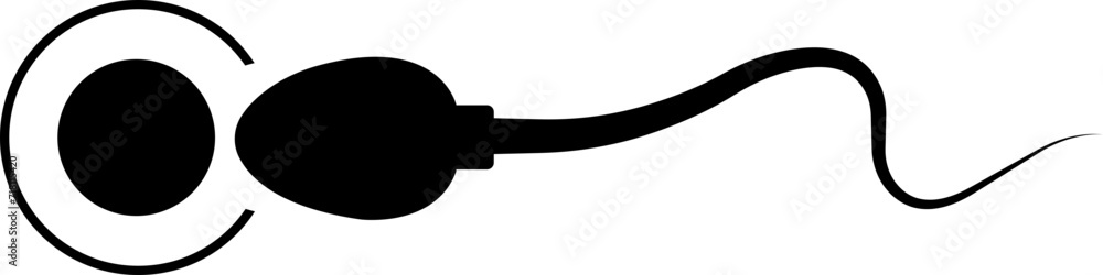 Poster abstract spermatozoon icon vector that runs towards the egg isolated on a transparent background, co