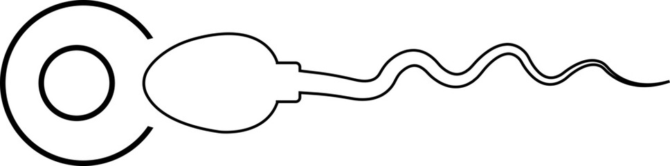 Abstract Spermatozoon icon sperm vector that runs towards the egg isolated on transparent background, competition concept in trendy Linear web design element for website, app or infographics material.