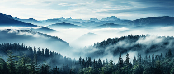 Top view fog on pine trees in the forest - obrazy, fototapety, plakaty