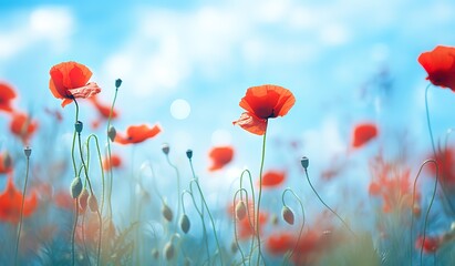 Obraz premium A field with red poppies blooming is beautiful in a photo against a bright blue sky