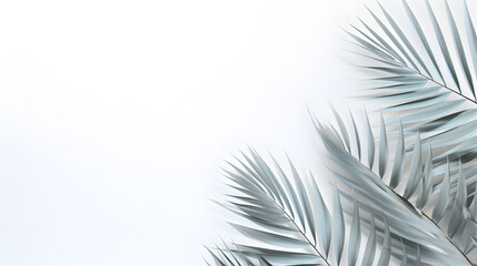 Shadow overlay effect on white wall,,
motion of shadow palm leaf in the wind blowing overlay on white wall blur background, concepts summer Pro Phot
