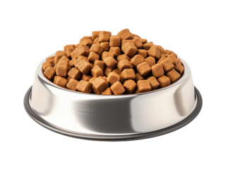 Pet food bowl isolated on transparent or white background, png