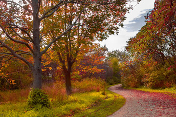 Naklejka premium Country autumn path in Ontario Canada 
