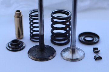 Clean intake valve and new exhaust valve for gasoline car auto.
