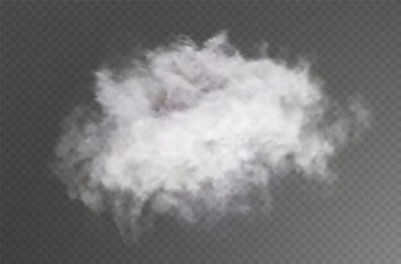 The image depicts various atmospheric phenomena such as fog, smoke, mist, and steam. The realistic 3D vector mockup shows a perspective view of white smog clouds.