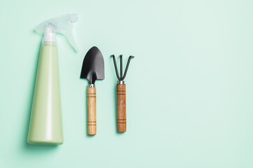 Garden tools on a bluish background. Transplanting and propagating home house plants.Houseplant care. Gardening and floristry as a hobby.