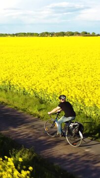 Aerial View of a Cyclist Riding Past a Blooming Rapeseed Field