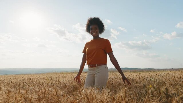 Happy black woman with afro hair stands in middle of field of golden wheat against wind smiling rejoicing in freedom blue sky clouds in an auto trip summer at sunset. Travel concept. Go everywhere. 