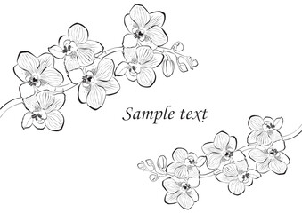 Drawn vector ink orchid flowers and branches, monochrome, detailed outline. Circle wreath composition. Isolated on white background. Design for wall art, wedding, print, tattoo, cover, card © Semiletava Hanna