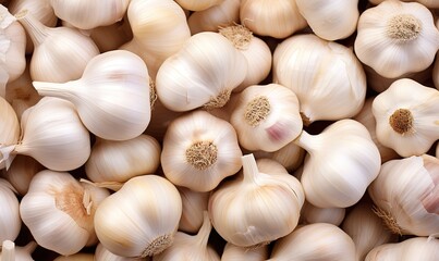 Pile of fresh garlic