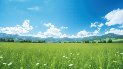 wonderful lofi inspired anime wide grass field wallpaper