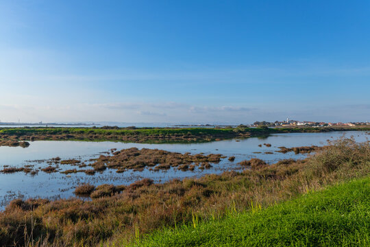 Tagus morning in Moita