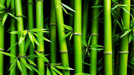 Abstract green pattern bamboo tree