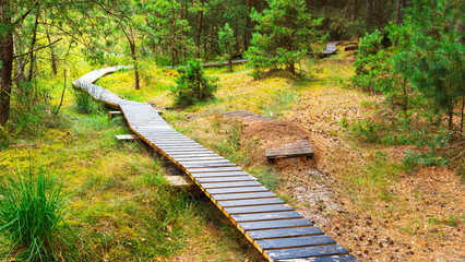 Wooden walkway in the bog in autumn. Nature composition.   - 718134672