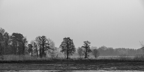 Abgelassener Fischteich in der Oberlausitzer Heide- und Teichlandschaft