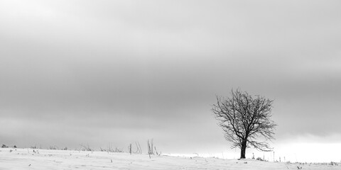 Winterlandschaft im Oberlausitzer Bergland bei Steinigtwolmsdorf 1