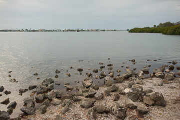View over rocks in foreground and bay water looking south west from Turtle Crawl Point at War Veterans Memorial Park in St.Petersburg, Florida. Green trees on the side. Near sunset on a cloudy day. 

