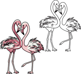 Flamingo couple