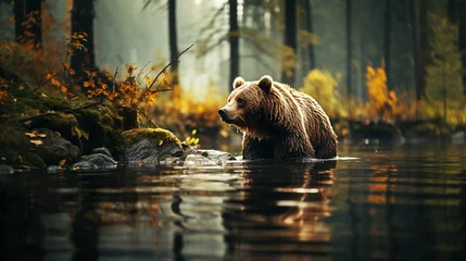 Foto op Aluminium Bear in the forest with river © Inlovehem