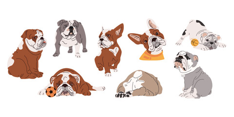 French and English bulldogs breeds set. Cute dogs sit, lie, sleep, play with toys. Simple dog illustration. Funny cartoon puppies. Vector flat illustration isolated on white background
