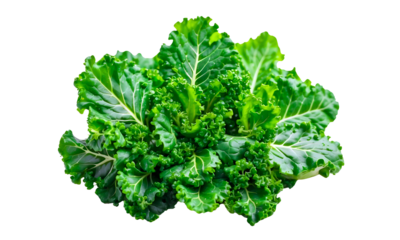 Fresh green organic kale leaves isolated isolated on transparent or white background. Creative layout made of kale closeup. Flat lay. Food concept.