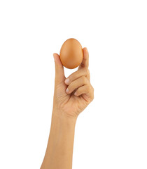 Hand holding brown chicken egg isolated on white background