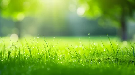 Gardinen Green grass field with green bokeh background © Inlovehem