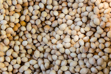 Stack of the gingko seed in the pack