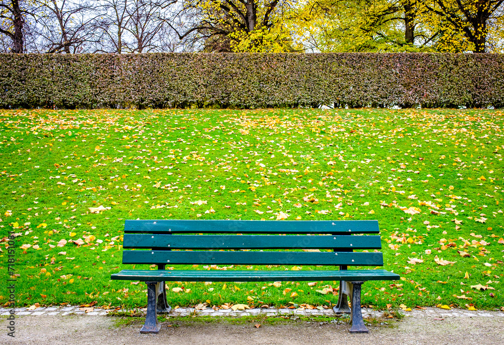 Canvas Prints typical old wooden bench - closeup