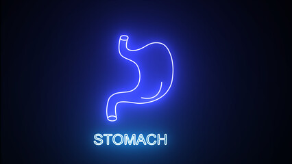 Glowing blue neon line A human stomach icon is isolated on a black background. Animation of a human stomach with glowing neon lines. Human body anatomy, stomach animation