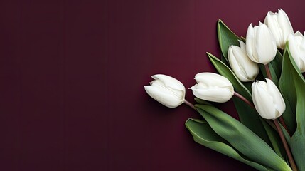 a bouquet featuring dark burgundy or white tulips against a plain background, providing an ideal composition for various uses, ample empty space for text or invitations.