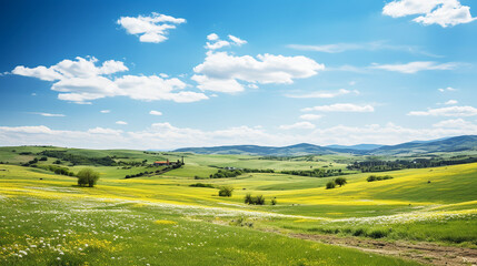 Fototapeta premium Yellow flower on field and blue sky