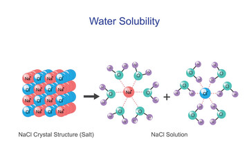  Water solubility of sodium chloride ( NaCl ) or salt. Aquous solution of hydrated cations and hydrated anions. Chemistry concept.