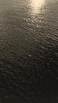 Light reflection on water surface